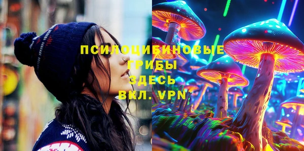 PSILOCYBIN Алексеевка