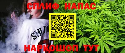 PSILOCYBIN Пушкино