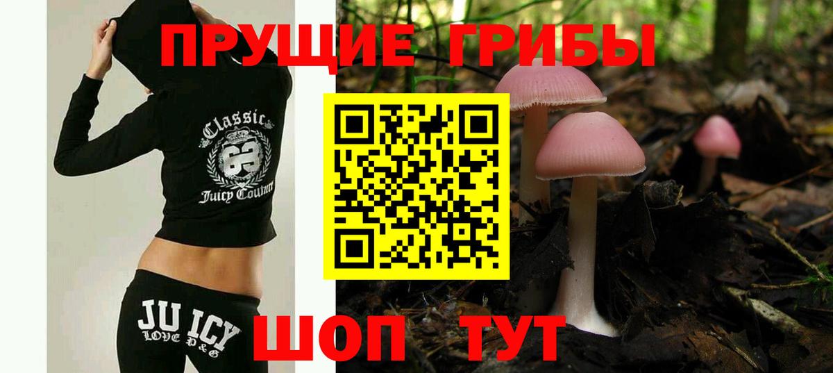 Псилоцибиновые грибы Cubensis  Вход с VPN  Биробиджан 