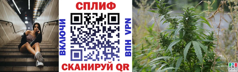 Конопля марихуана  купить  сайты  Биробиджан 